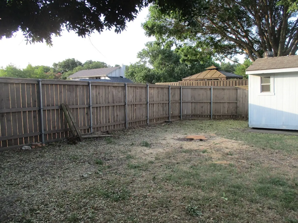 Cleared yard after professional tree removal in Dorchester